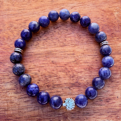 Natural Sodalite Stone Bracelet 8mm